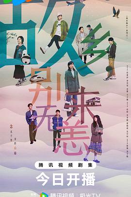 优化seo隐迅推专业